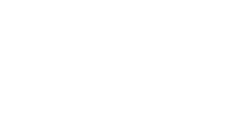 BrazilEHR Logo